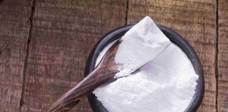 Bicarbonate de soude pour tuer les rats : alternatives fiables bicarbonate de soude pour tuer les rats