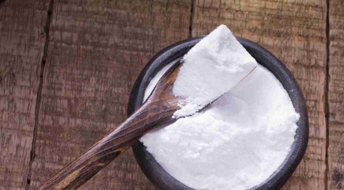 Bicarbonate de soude pour tuer les rats : alternatives fiables bicarbonate de soude pour tuer les rats