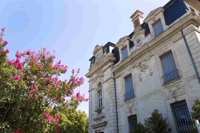 appartement haussmannien appartement haussmannien
